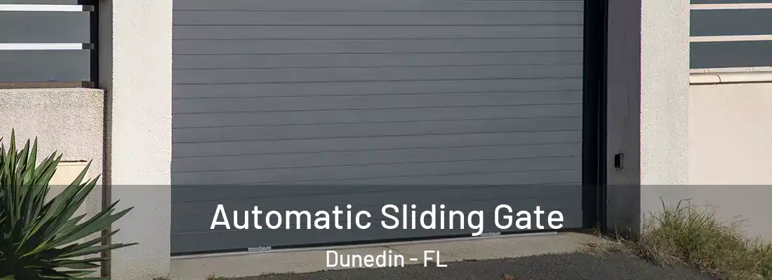 Automatic Sliding Gate Dunedin - FL