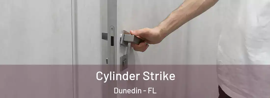  Cylinder Strike Dunedin - FL