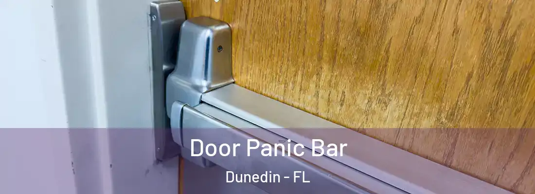 Door Panic Bar Dunedin - FL