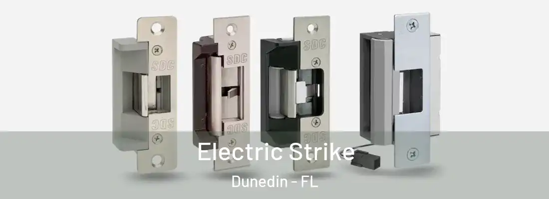  Electric Strike Dunedin - FL
