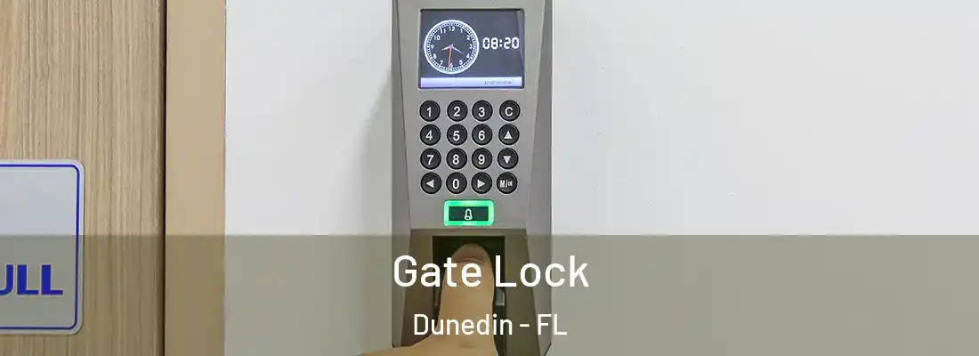 Gate Lock Dunedin - FL
