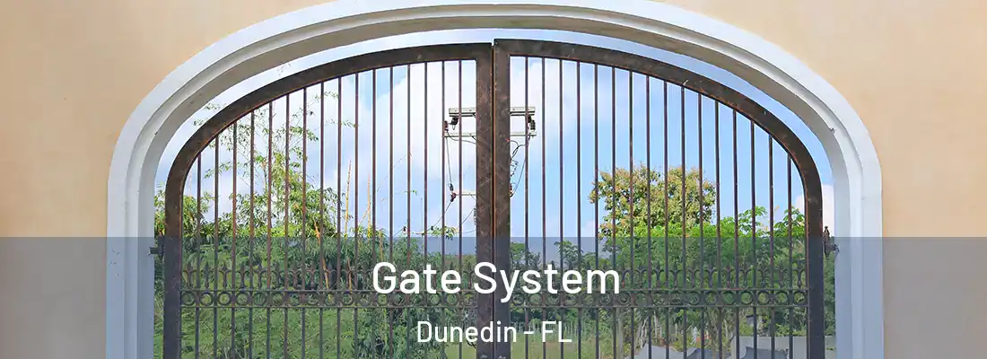 Gate System Dunedin - FL