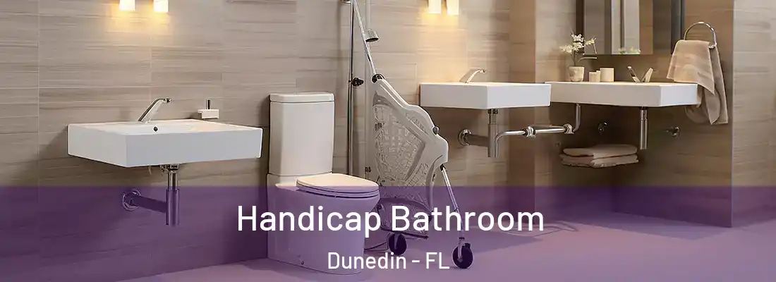  Handicap Bathroom Dunedin - FL