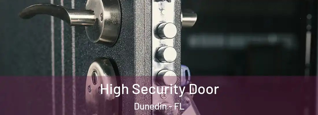 High Security Door Dunedin - FL