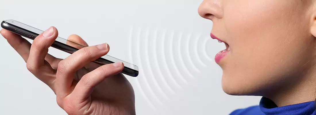 Residential and Commercial Voice Recognition Access Solutions in Dunedin, FL