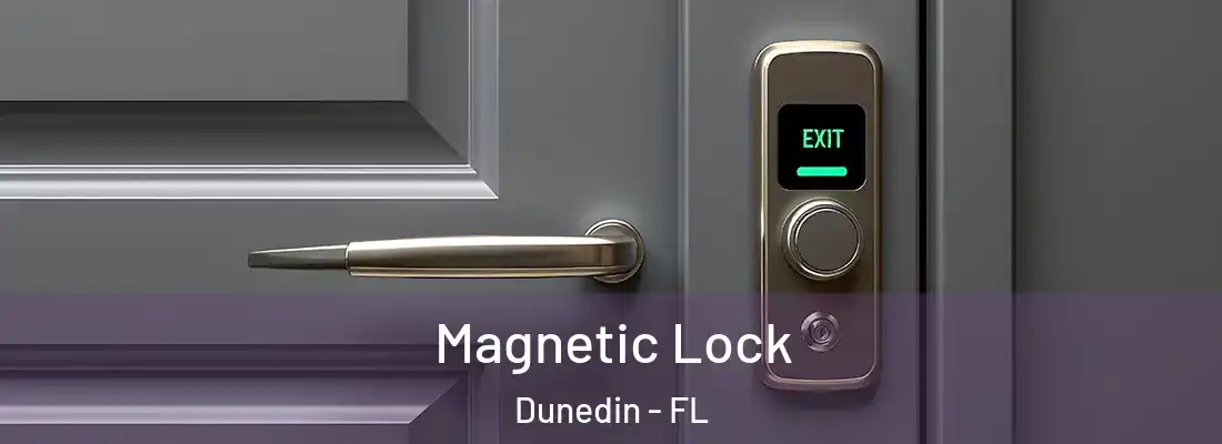  Magnetic Lock Dunedin - FL