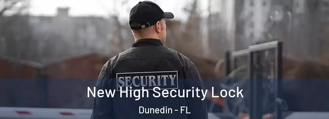  New High Security Lock Dunedin - FL