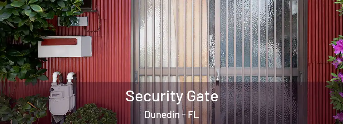 Security Gate Dunedin - FL